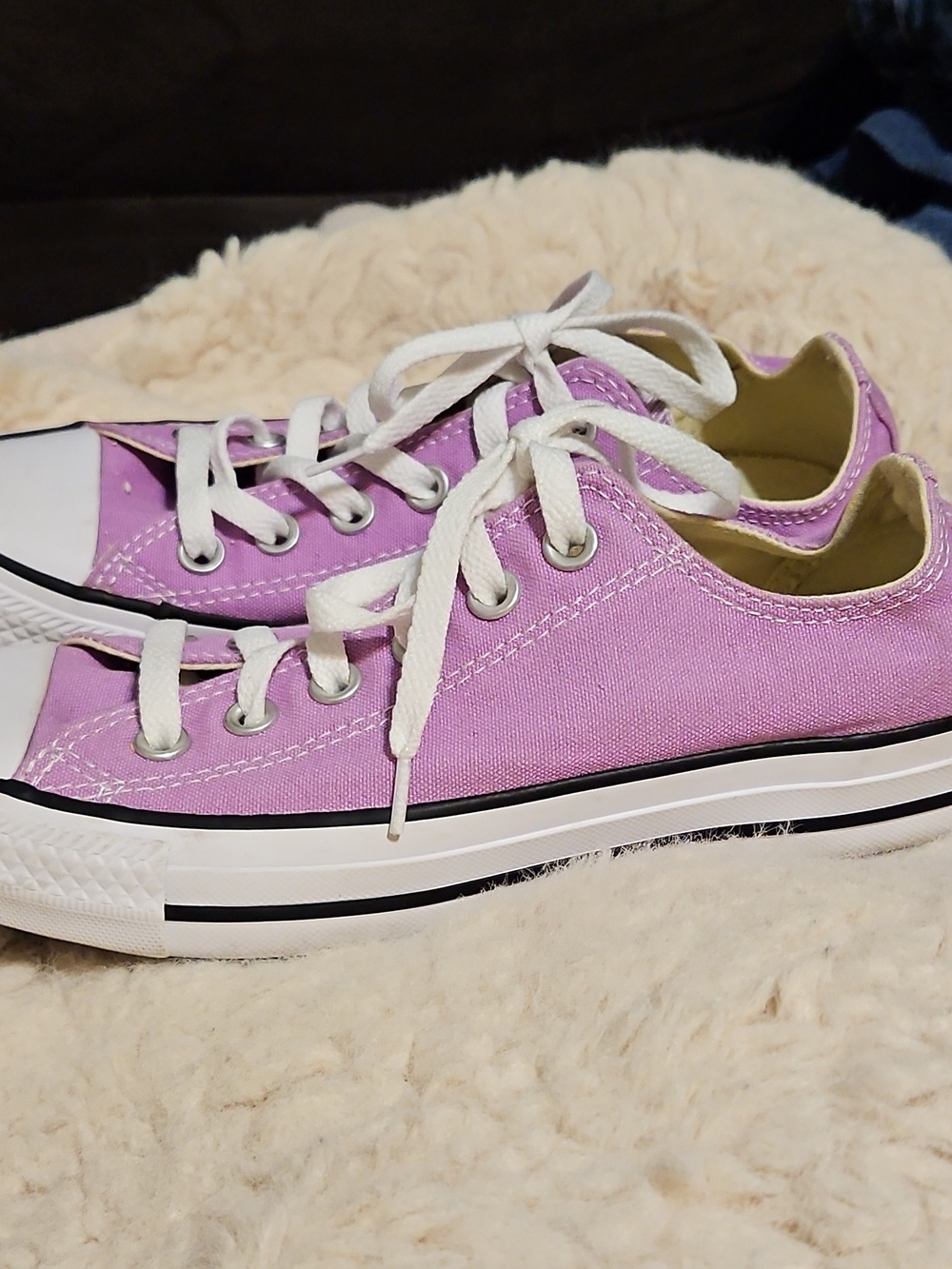 Converse Low Top Canvas Sneakers - Lavender with White